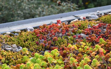 the cost of Tresavean green roof installation
