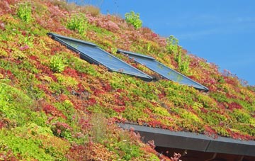 Tresavean living roof systems